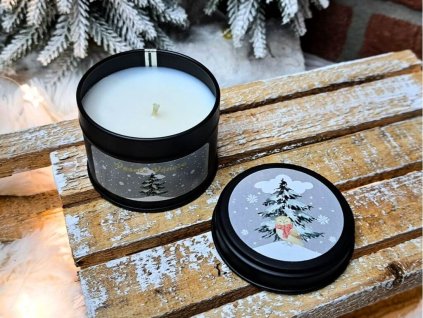 vonna svicka v plechovce (14)