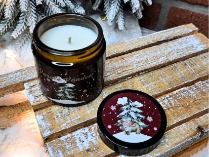 vonna svicka ve skle (29)