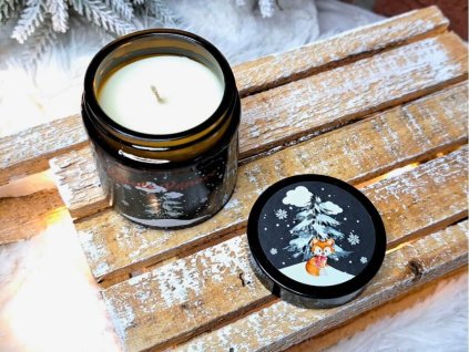 vonna svicka ve skle (41)