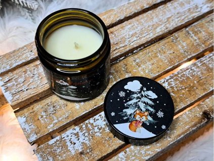 vonna svicka ve skle (43)