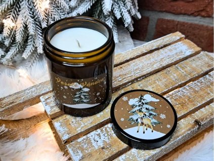 vonna svicka ve skle (24)