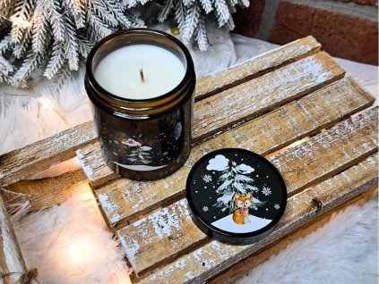 vonna svicka ve skle (39)