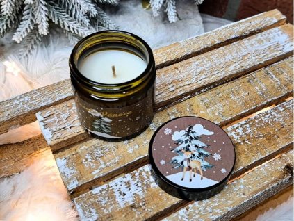 vonna svicka ve skle (26)