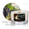 banner COLOR INTENSIVE woodwick ve skle citronella grapes