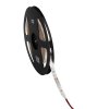 LED páska LEDS-CW 5M LED SMD studená bílá  IP65