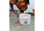 Palmipet Ergänzungsfuttermittel für Hunde 300ml