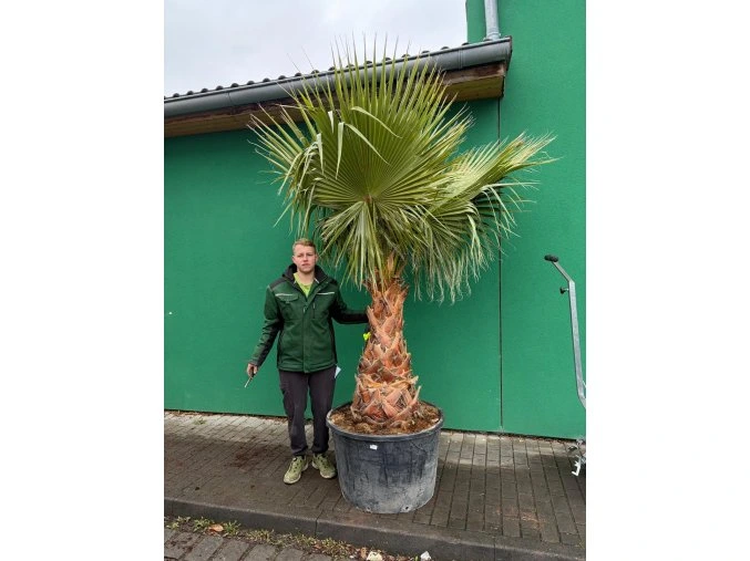 f9f79f41 5f7a 4a48 a75d b75a030ac788