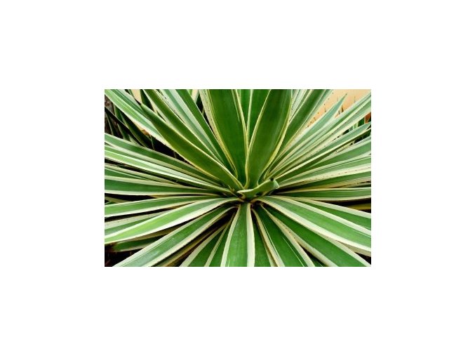 df51f95883752afa4659ec23d554