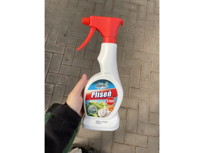 Plíseň stop