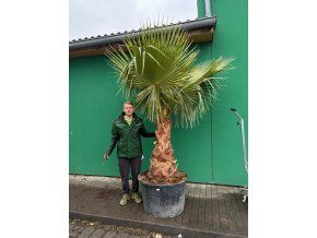 f9f79f41 5f7a 4a48 a75d b75a030ac788