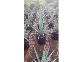 5ea26de7 4b63 4092 863b ca522742ee9b