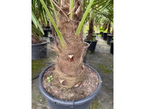 Snímek obrazovky 2025 11 25 134528