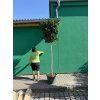 QLUD5672