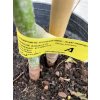 Avocado 140 cm