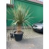 GTLB9554