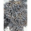 Trachycarpus fortunei semínka - 500 ks