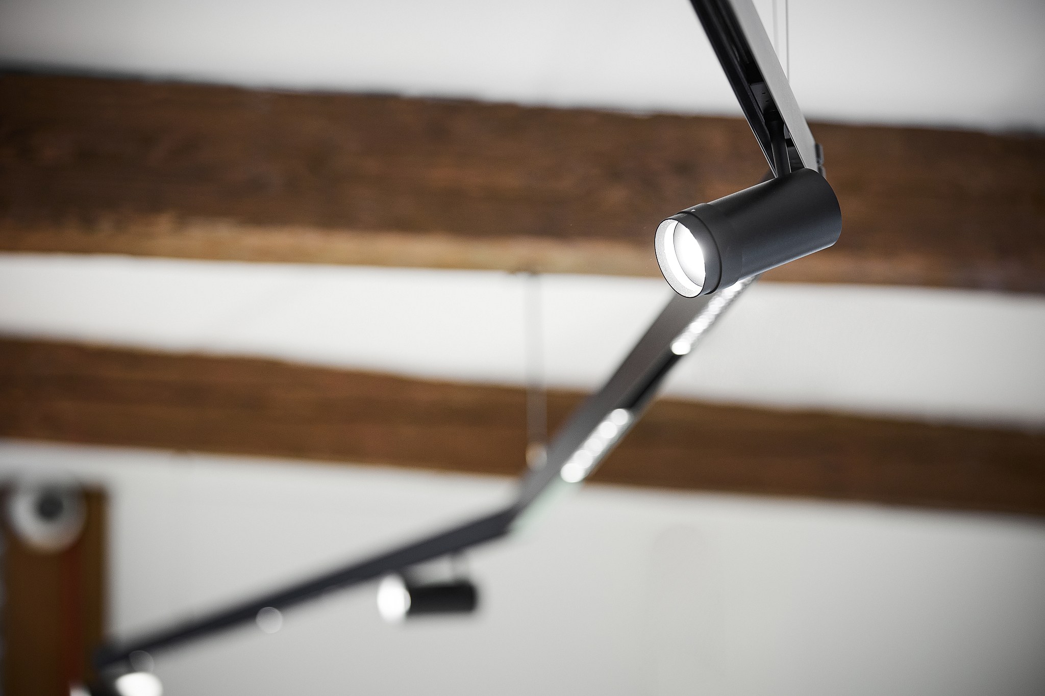 PALNAS_ISABELIA_24-03-28_web_09