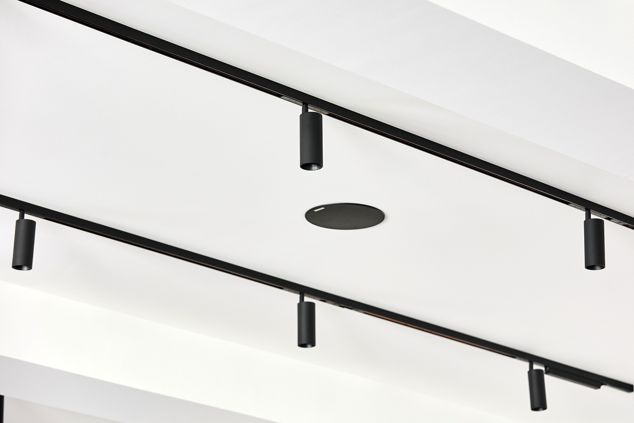 PALNAS_ROZKVĚT_web_25-03-20_006