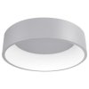 Stropní svítidlo Kaji, LED, stříbrné (OVLÁDÁNÍ Krokové, TEPLOTA LED 3000 K, ŠÍŘKA 455 mm)