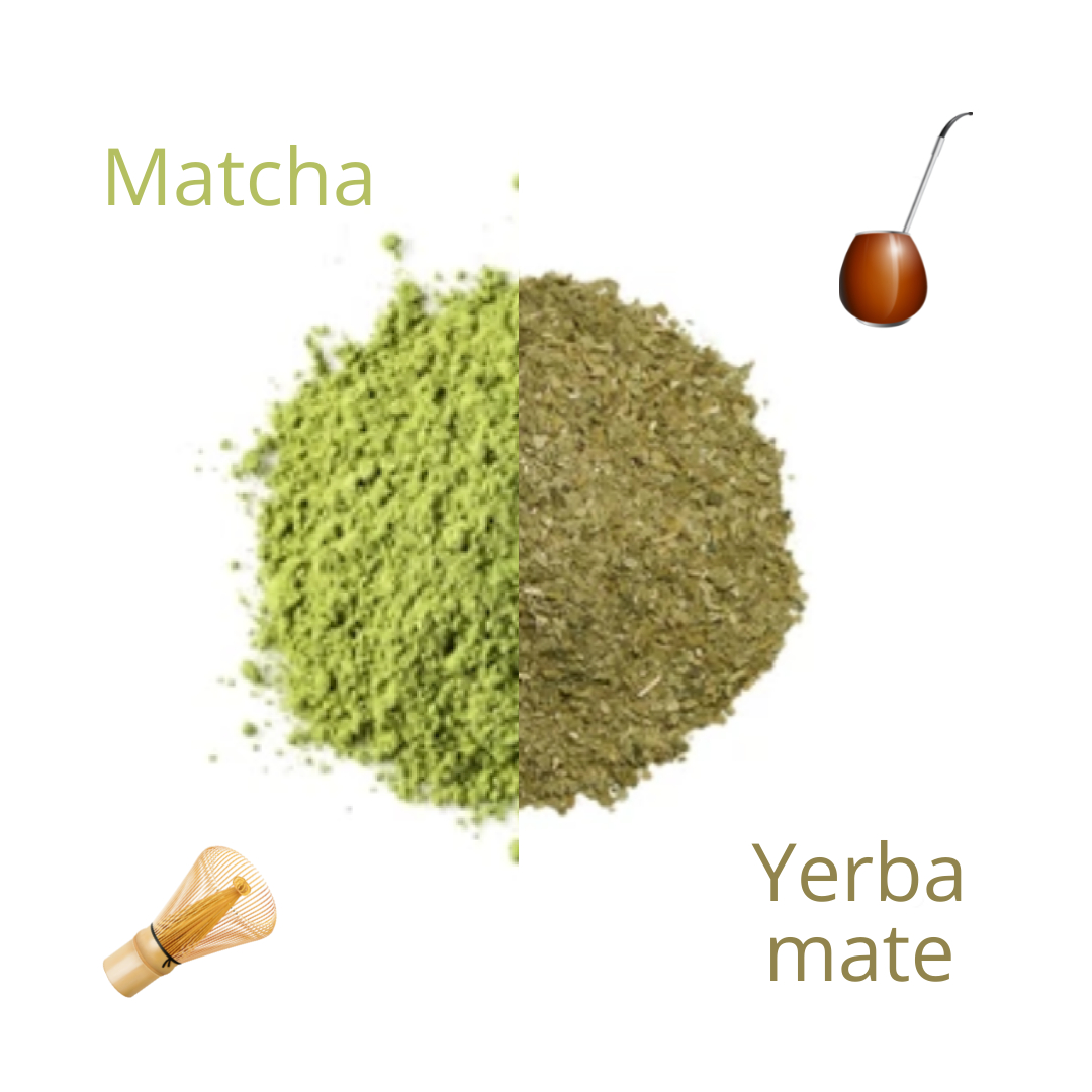 Matcha vs. yerba mate
