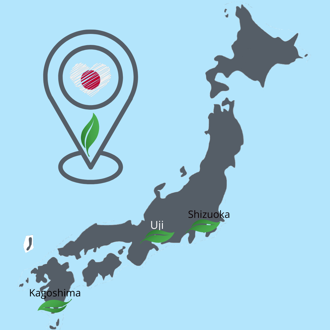 Oblíbené regiony pro pěstování zeleného sypaného čaje v Japonsku