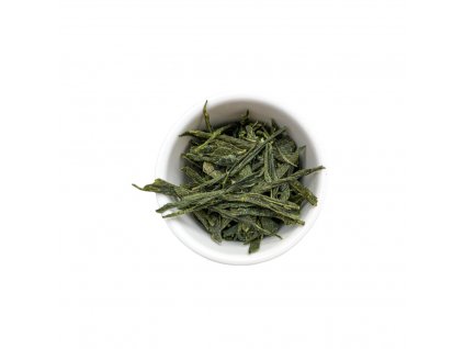 storm sencha insight