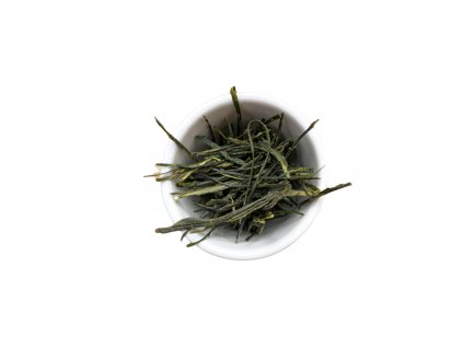 storm sencha geround