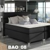 BAO_08