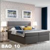 BAO_10