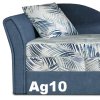 Ag10
