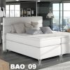 BAO_09