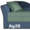 Ag28