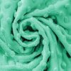 minky-mint-011