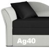 Ag40