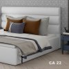 CA_22