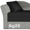 Ag26