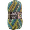 Příze Opal Hundertwasser Werk 897 – Silver Spiral - barevná varianta 897