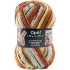 Příze Opal Hundertwasser Werk 956 – Seeschlange - barevná varianta 956