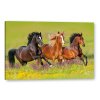 Obraz na plátně tištěný koně v poli Art