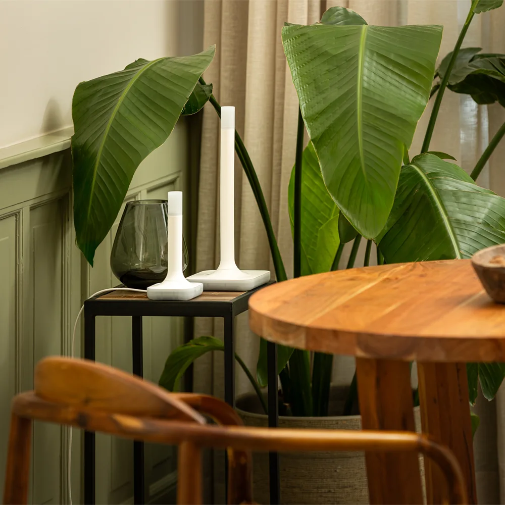 Detail Home Assistant Connect ZBT-2