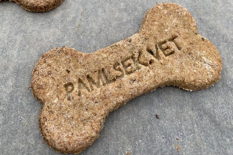 Nemocný mazlíček