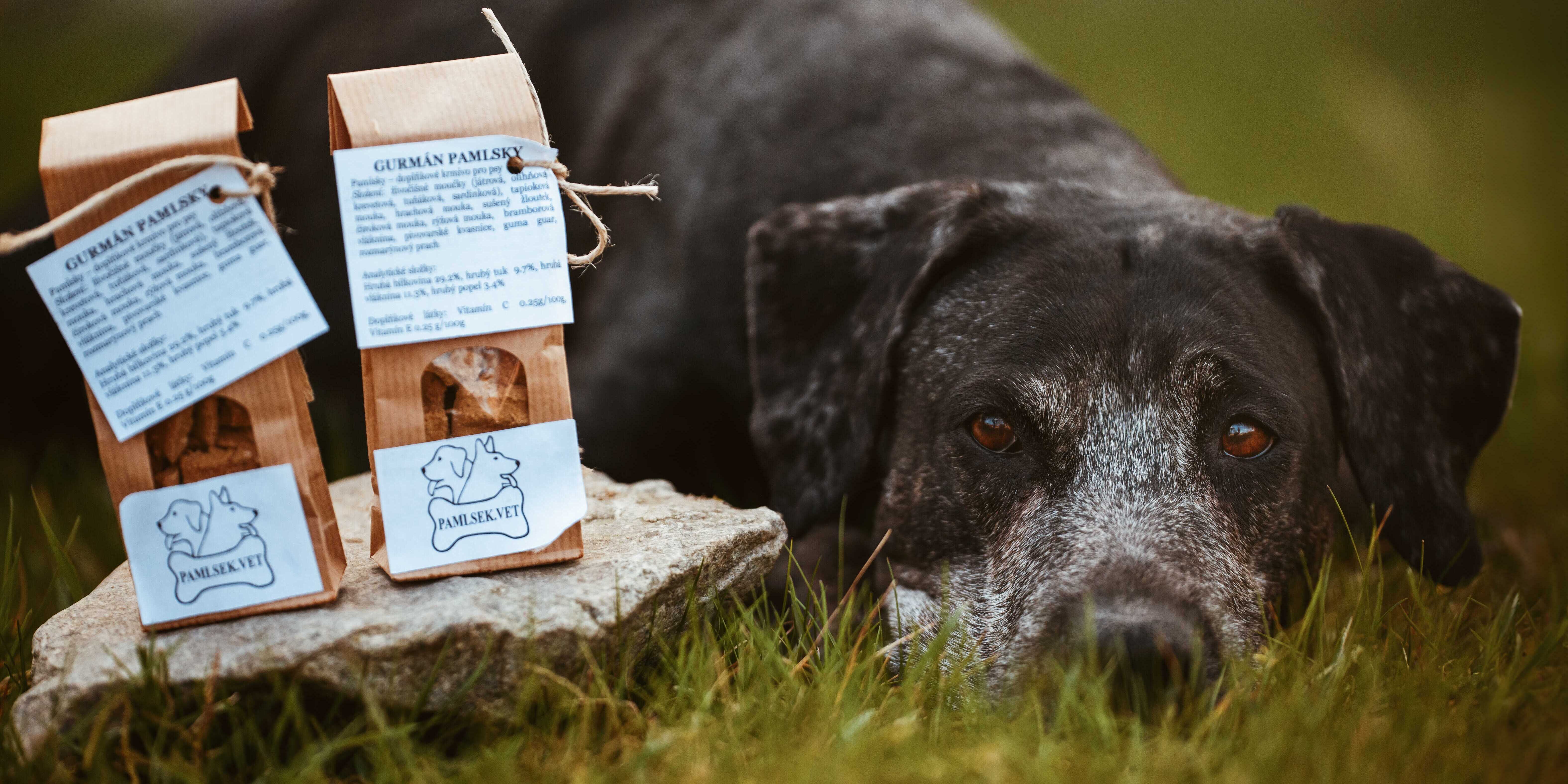 luisiansky leopardi pes