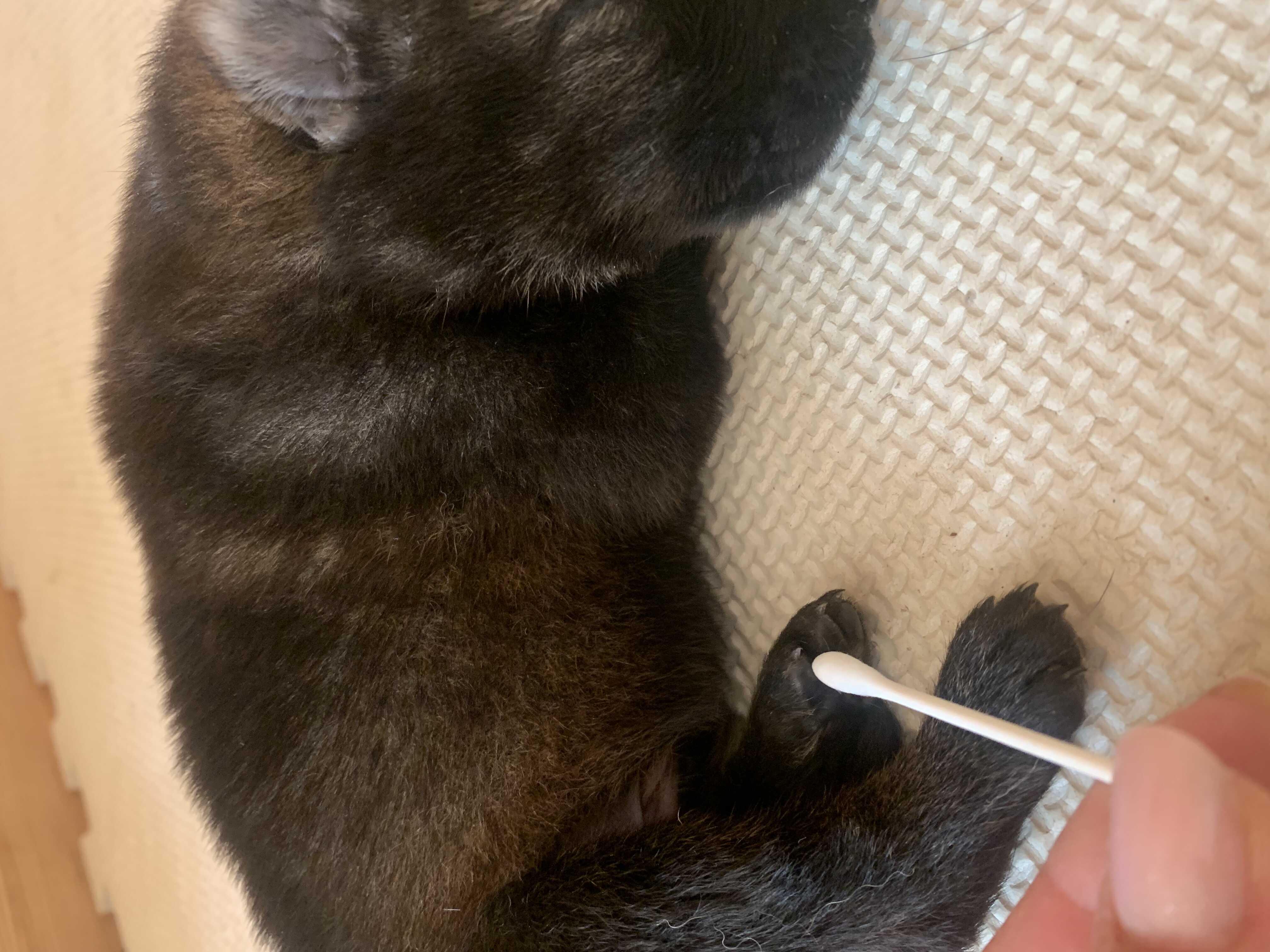 image0(22)_optimized