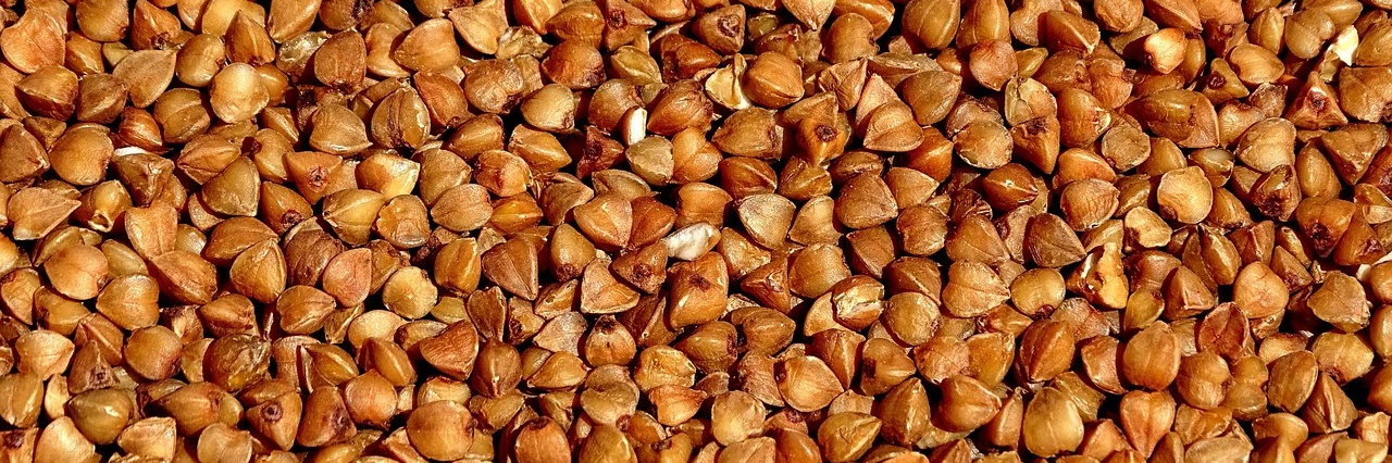 pohanka