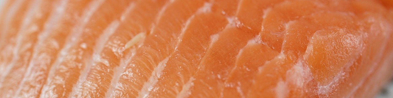 salmon-5892659_1280