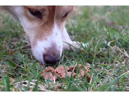 Pankreas-Leckerlis für Hunde
