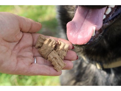 Leckerlis für Hunde mit Diabetes
