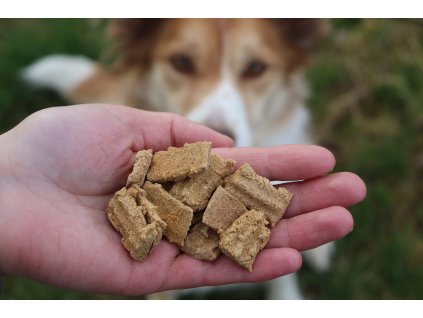 Gourmet-Leckerlis für Hunde