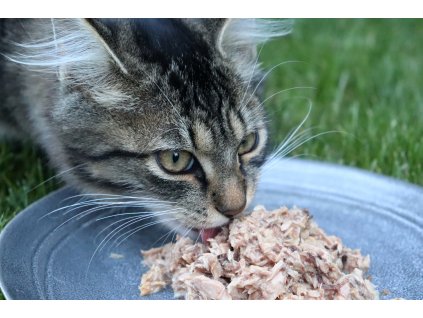 CANAGAN Katze Thunfisch und Krabbe