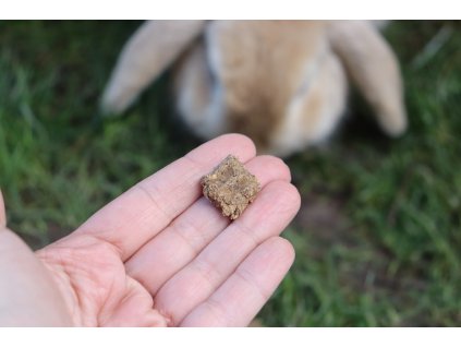 Leckerlis für Kaninchen-Gourmets